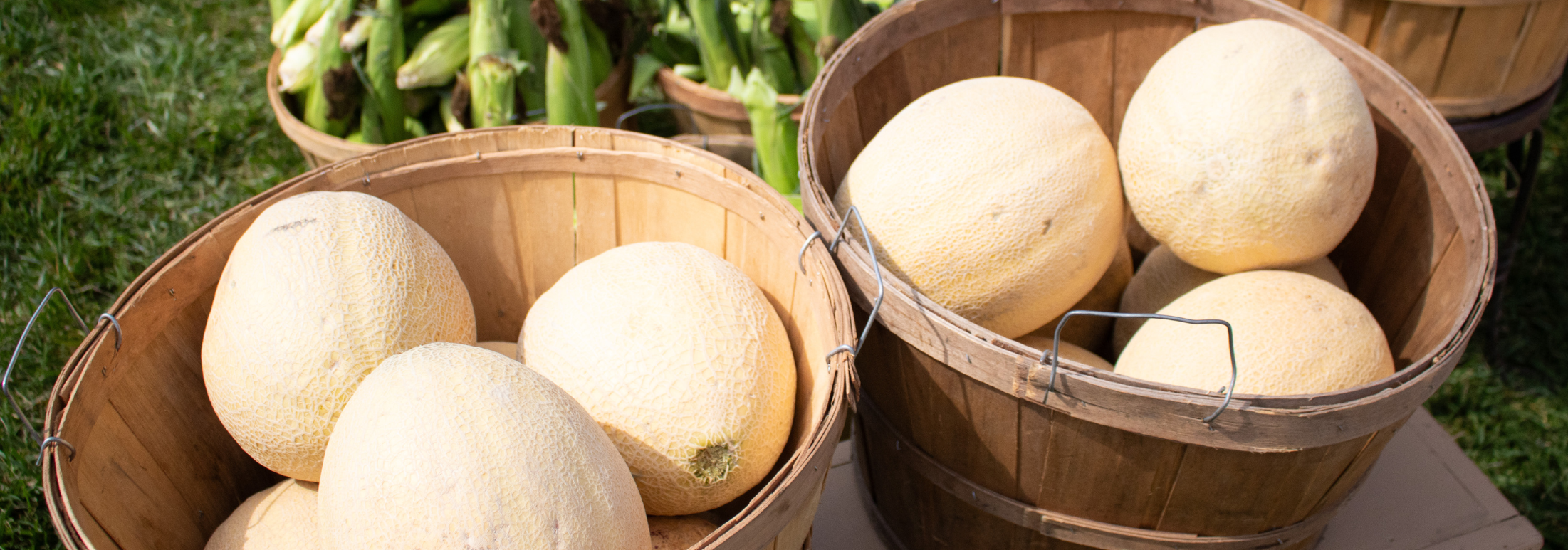 Brownsburg Farmers Market